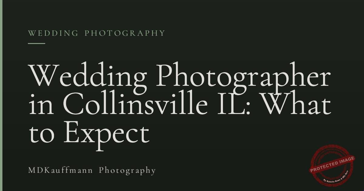 Wedding Photographer in Collinsville IL: What to Expect