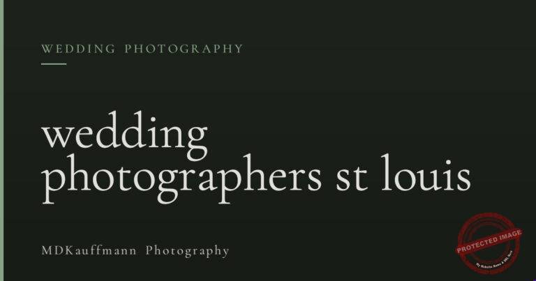 wedding photographers st louis